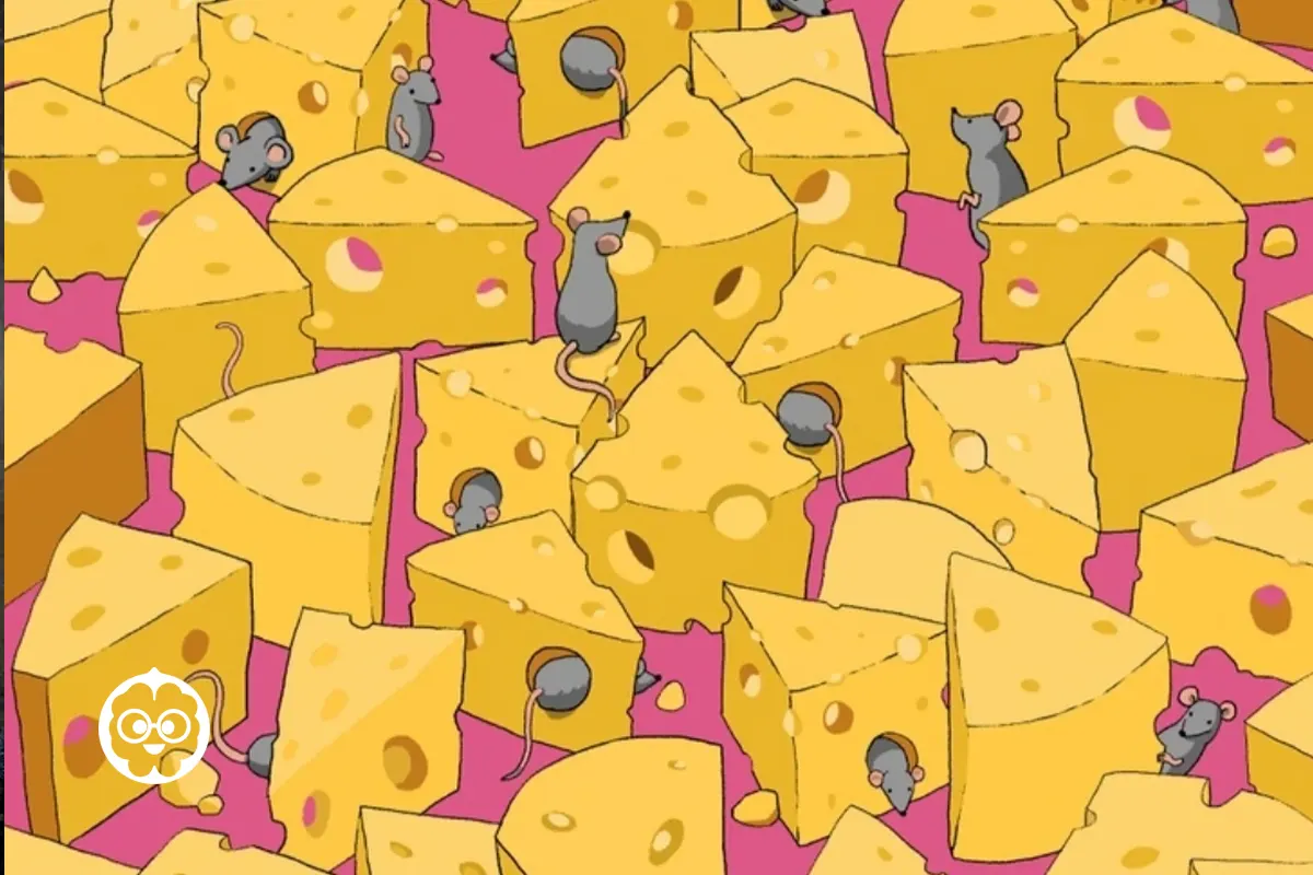 تست هوش تصویری تاس و پنیر